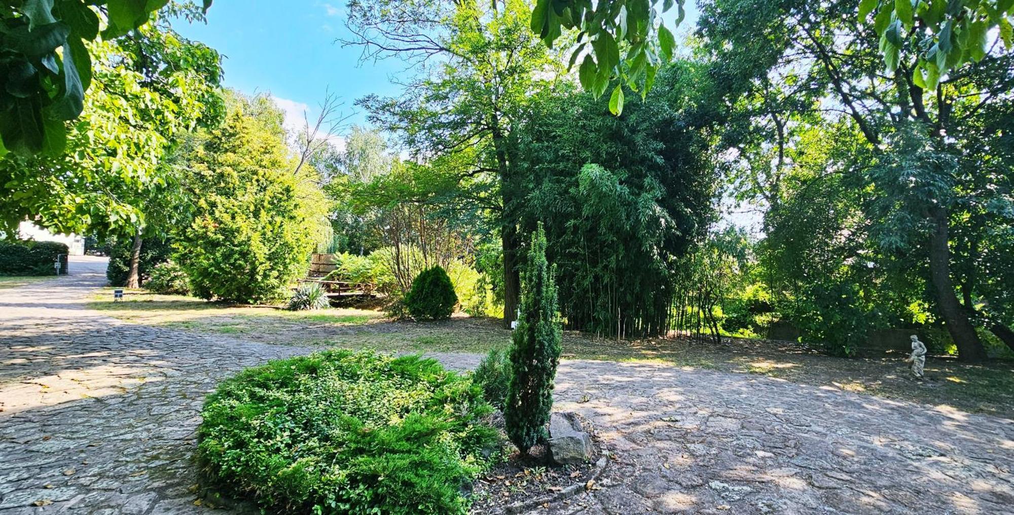 Levendula Resort Es Rendezvenykoezpont Bogács Dış mekan fotoğraf